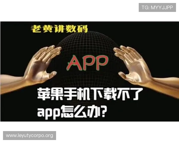 乐鱼官网app登录入口常见问题及解决方案帮助用户快速排查登录难题